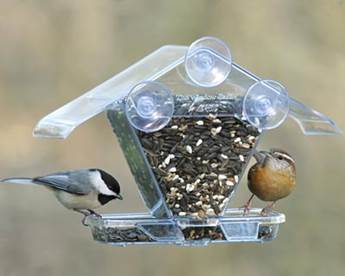 bird feeder